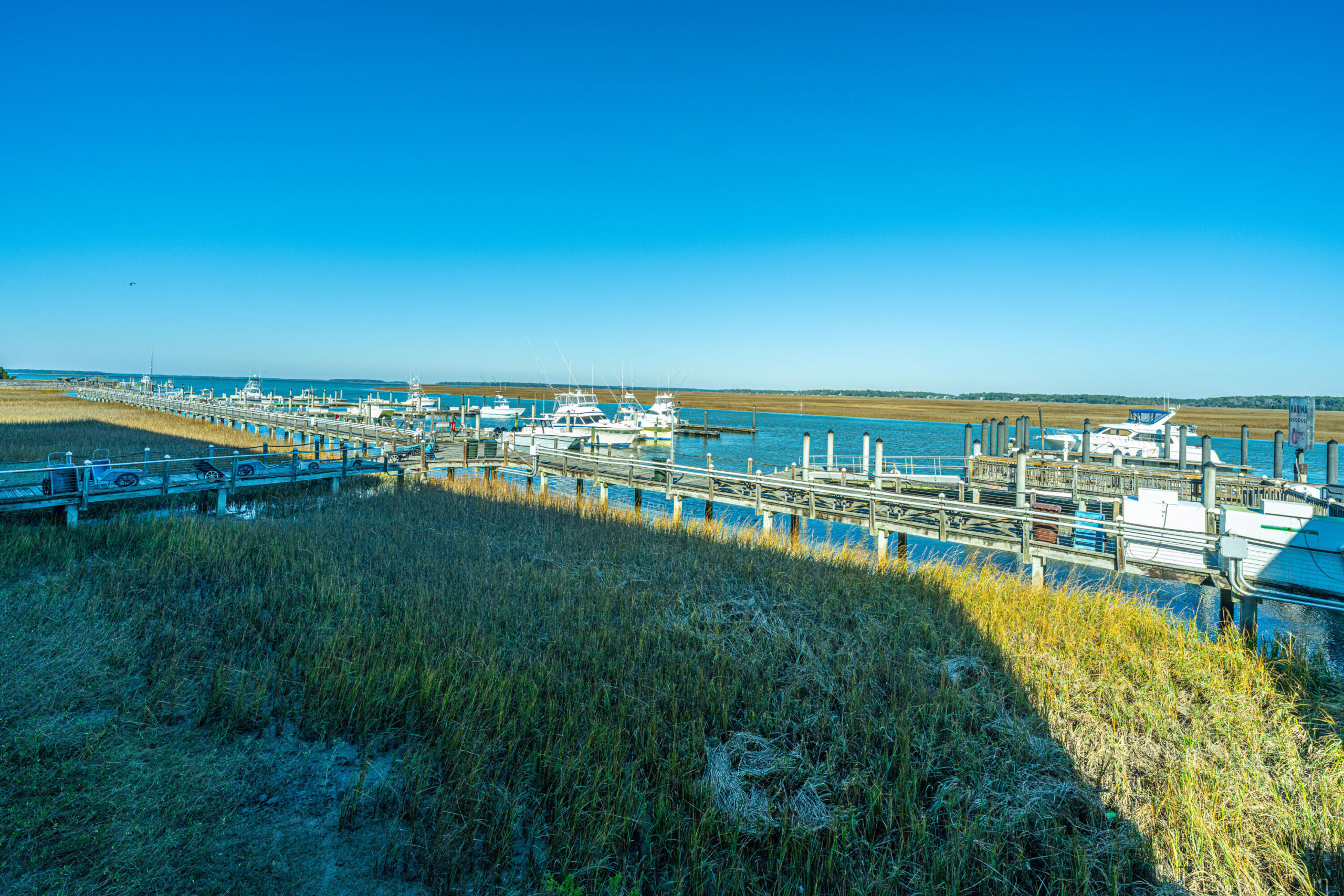 Discovering the Marina at Edisto Beach Edisto Marina